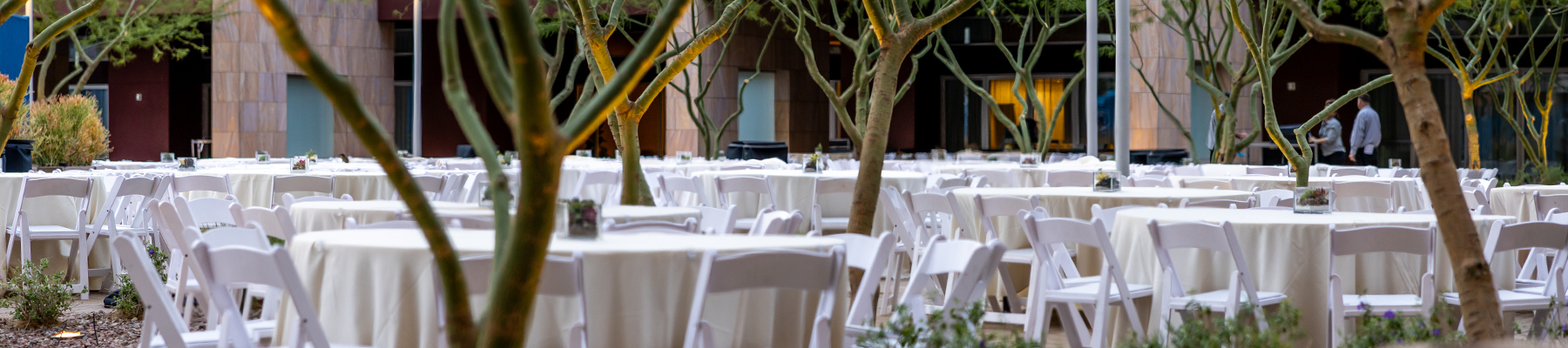 standard-hero-meetings, conferences and events